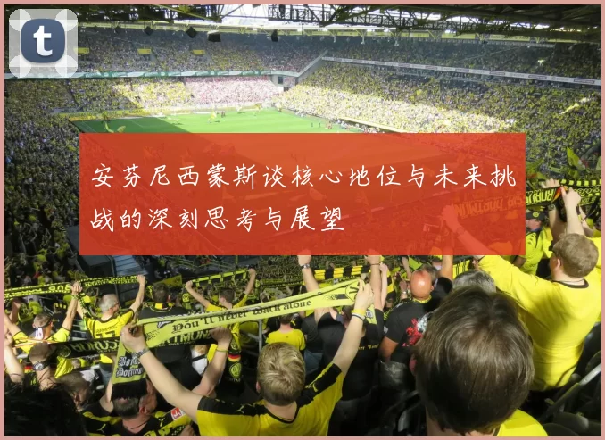 安芬尼西蒙斯谈核心地位与未来挑战的深刻思考与展望