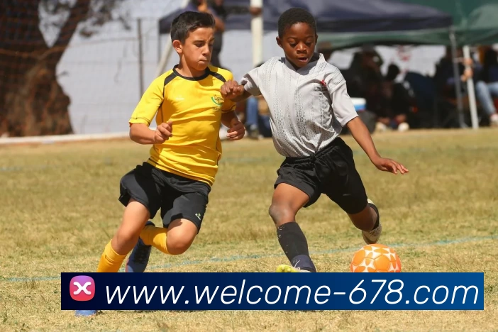 678体育APP 高清赛事图